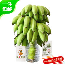 Mr.Seafood 京鲜生 禁止蕉绿苹果蕉 净重7-8斤