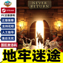 PC中文正版 steam 地牢迷途 NeverReturn 国区激活码 CDkey 现货