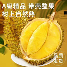 泰国金枕榴莲 a级果 5斤装/保4-5房