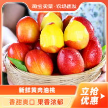 淘宝买菜 新鲜黄肉油桃 单果60g+ 净重5斤