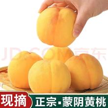 ZOCO 山东蒙阴黄桃 5斤装 约10-14个