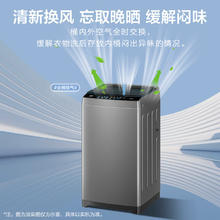 Haier 海尔 波轮洗衣机小型全自动家用 8公斤 一体盖