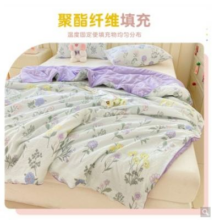 HODO 红豆   A类亲肤被子可水洗空调被