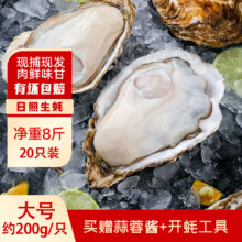 君魄蒜蓉蒸生蚝大号20只4kg *2件（凑单）
