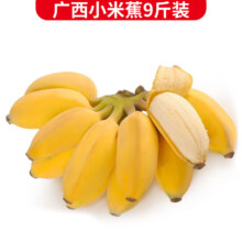plus会员， 静益乐源广西小米蕉 粉蕉 新鲜香蕉水果 9斤