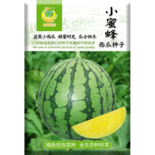 凤鸣雅世 早熟小西瓜种子 黄瓤西瓜水果种子 10粒