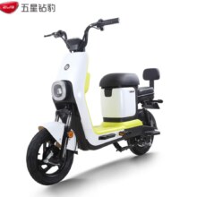 ZUB 五星钻豹 B5 电动自行车 TDT28Z