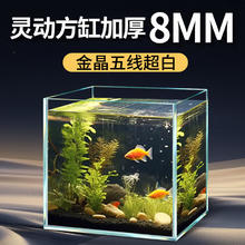 BESSN 贝森 金晶五线超白方缸 30*30*30cm加厚8mm