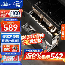 HIGOLD 悍高 拉篮厨房橱柜 抽屉式双层碗篮置物架 不锈钢调味碗碟篮 850柜 2层 L系列方管套装