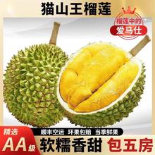 马来猫山王榴莲 4.5斤装保5房