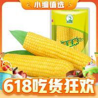 东北农嫂 黄糯玉米 1.45kg（8根左右）