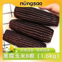 东北农嫂 黑糯玉米粘玉米棒软糯清香真空8根