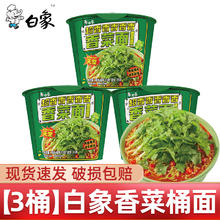 BAIXIANG 白象 香菜面 泡面方便面懒人速食夜宵绿色香菜桶面115g*3