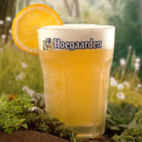 Hoegaarden 福佳 白啤酒比利时风味小麦灌装精酿310ml*12听