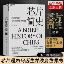 芯片简史 芯片研究 科普作家 汪波