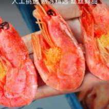 plus会员，百亿补贴：龙味福北极甜虾 甜虾90-120只/kg 净虾重3斤（无冰衣）