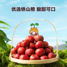 百亿补贴：窝小芽 蓝莓萌虎棒棒糖 70g