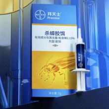 拜灭士 德国拜耳蟑螂药杀虫剂 杀蟑胶饵5g