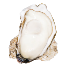 Plus会员：乳山牡蛎 鲜活乳山生蚝4XL号 净重2.5kg 8-15只 *2件