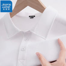 JEANSWEST 真维斯 男士网眼珠地棉冰丝POLO衫 EE-31-173077