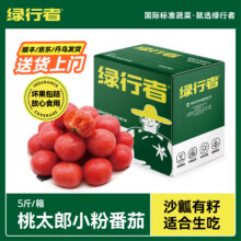 北京奥运会食材供应商，绿行者 桃太郎小粉番茄新鲜西红柿5斤