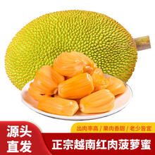 Mr.Seafood 京鲜生 越南进口菠萝蜜红肉整个净重10-12斤