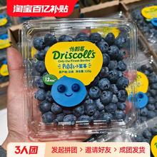 好鲜市集 Driscolls怡颗莓蓝莓6盒小果当季云南蓝莓鲜果整箱新鲜水果包邮