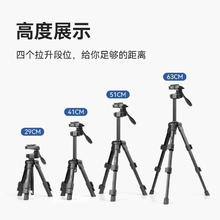 YUNTENG 云腾 608 迷你三脚架