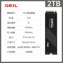 GeIL 金邦 P4H系列 M.2 NVMe 固态硬盘 2TB PCI-E4.0