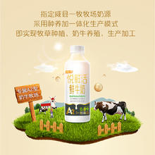 悦鲜活 A2β-酪蛋白鲜奶 950ml*3瓶