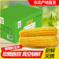 碧江雪玉 黄糯甜玉米 鲜食玉米 200g*10支