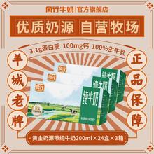 风行牛奶牛在身边奶更新鲜风行 风行牛奶 黄金奶源带纯牛奶200mL*24盒*3箱整箱盒装