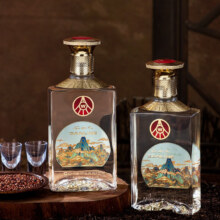 猫超直送，五粮液 江山礼 竹荪酒套装 52度浓香型白酒500mL*2瓶礼盒装