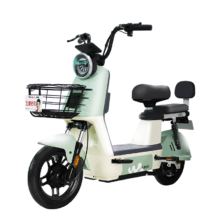 京东百亿补贴:五星钻豹电动车新国标48V18AH电瓶车电动自行车 B15 源彩素绿/漫步白