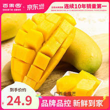 PAGODA 百果园店 广西 金煌芒5斤 单果300g+