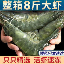百亿补贴：XYXT 虾有虾途 YXT 虾有虾途 青岛海水大虾 单只11-14cm 2kg