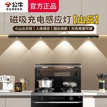 BULL 公牛 无线自粘感应充电鞋柜橱柜灯长条波纹灯条酒柜免布线衣柜灯带