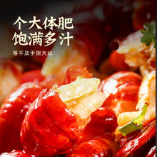 88VIP会员：今锦上 特级大虾尾鲜冻龙虾尾（110-130只）500g*3袋