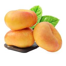顺丰 山东蒙阴 王母蟠桃 黄毛蟠桃 5斤装（10-14个）