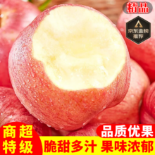 京东百亿补贴、plus会员:晟容果蔬红富士苹果 带箱5斤-精选中大果【单果110g-120g】