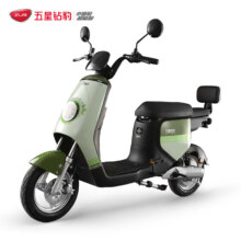 15日20点：ZUB 五星钻豹 B11 电动自行车