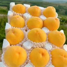 朵界 山东蒙阴 大黄桃 净重2.25斤 （6-8个）顺丰
