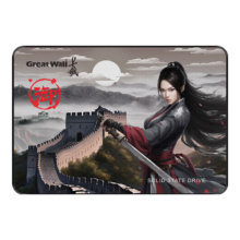 Great Wall 长城 256GB SSD固态硬盘 SATA3.0接口 长江存储晶圆 国产TLC颗粒高速稳定读写 GT580系列
