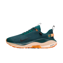 耐克（NIKE） Infinity Run 4 GORE-TEX 男子防水公路跑步鞋 FB2204-300 41