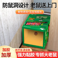 山山 超强力粘鼠板 5片装/【220mm宽】