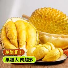 金枕榴莲 4.5斤（保4房）