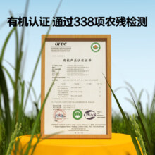 窝小芽 原味有机米饼婴幼儿6个月以上宝宝零食儿童磨牙饼干21g 有机米饼42g【1盒】23年11月批次
