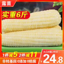 【非转基因】露茵玉米糯玉米鲜黏粘玉米非东北甜糯米玉米真空