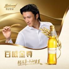 Budweiser 百威 啤酒金尊啤酒500ml*12大瓶装包邮家庭团圆聚会小酌