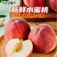 猗浩鲜果园 现摘当季新鲜水蜜桃 4.5斤/单果65mm+